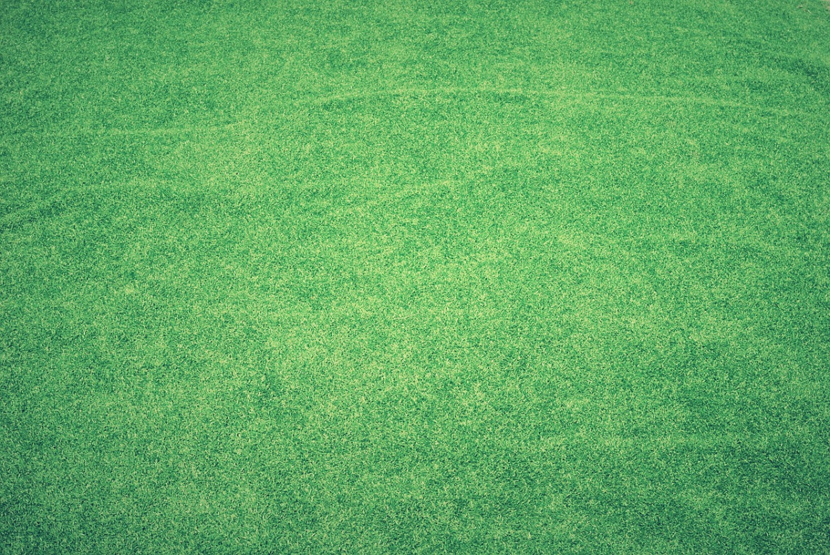 landscaper installing sod rolls turf yard
